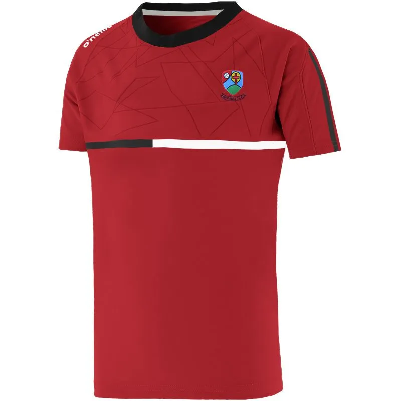Na Fianna Football Offaly Synergy T-Shirt